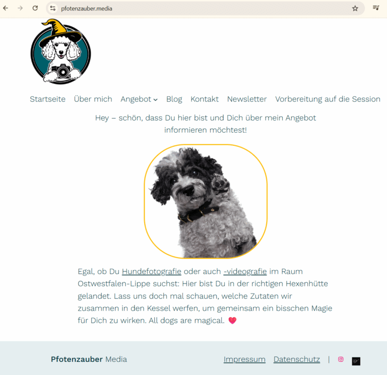 Screenshot der Webseite pfotenzauber.media