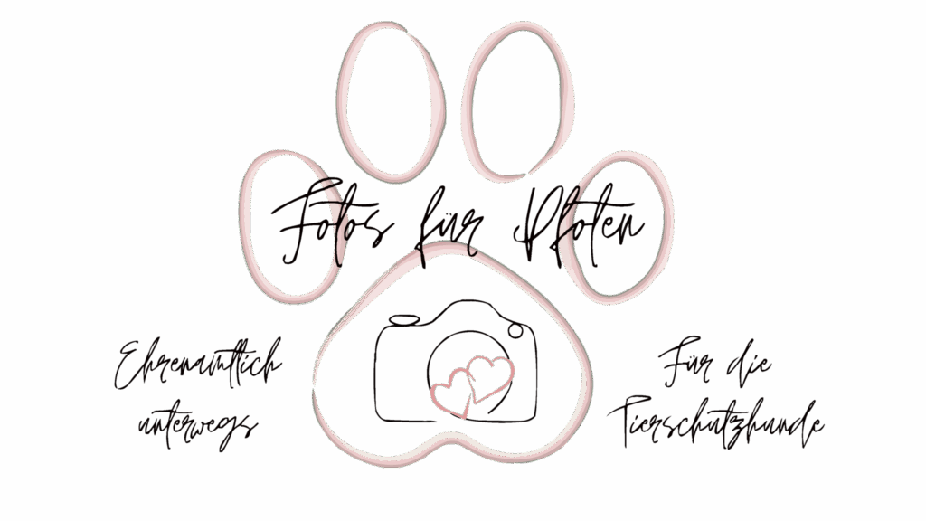 Logo der Initiative "Fotos für Pfoten"