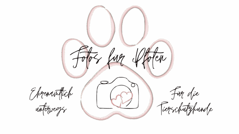 Fotos für Pfoten