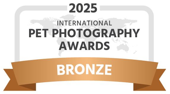 Das Foto zeigt einen Bronze-Award der International Pet Photography Awards 2025.